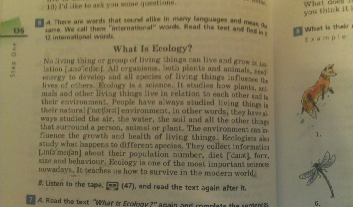 Экологические тексты на английском. What is ecology текст. What is ecology перевод текста. What is ecology текст на английском. So others can Live перевод текста.