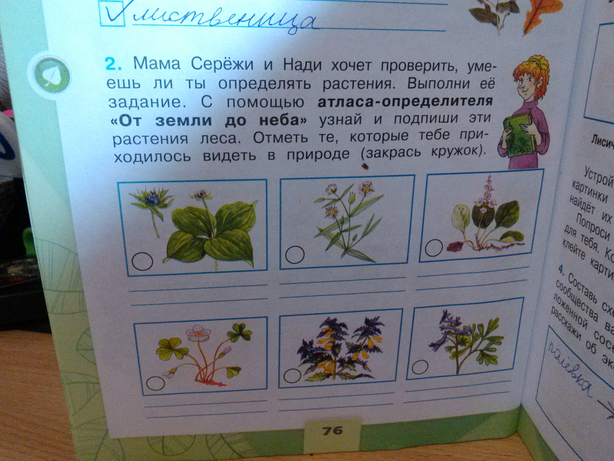 Как искать название растения по фото